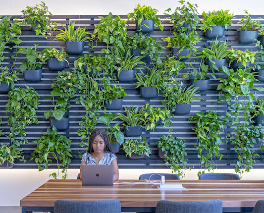 a woman with long hair sitting at a desk in front of a lush green plant wall